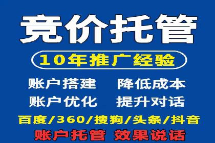 某公司通过竞价SEM优化搜索引擎排名案例